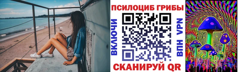 Галлюциногенные грибы Psilocybine cubensis  Купить  Ростов 